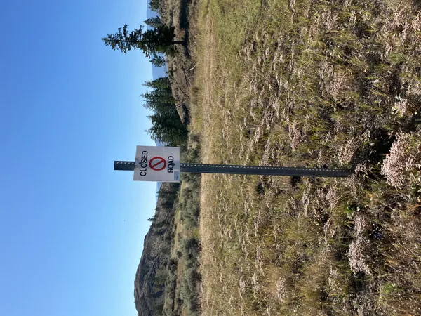 Public Notice: Sydney Essential Service Alerts and Road Closures